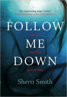 Follow me Down - Sherri Smith.jpg